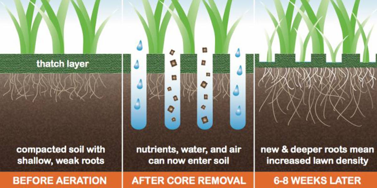 Coring and verti cutting the differences and benefits explained