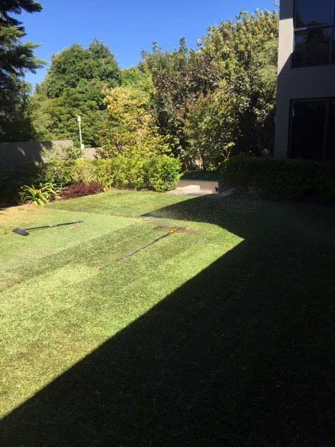 Lawn Install Completed