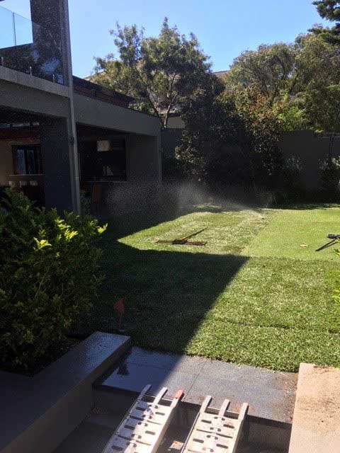 Compacted and Watering New Lawn Install
