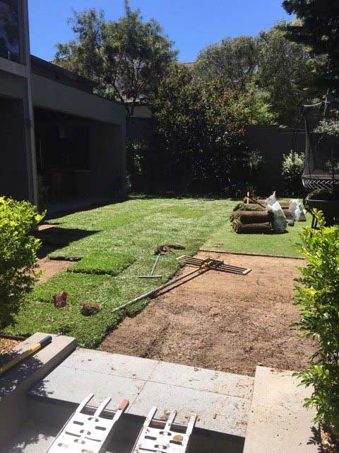 Laying New Lawn