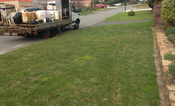 Weed Spraying Perth Lawn Weed Spraying Contractors Perth Wa