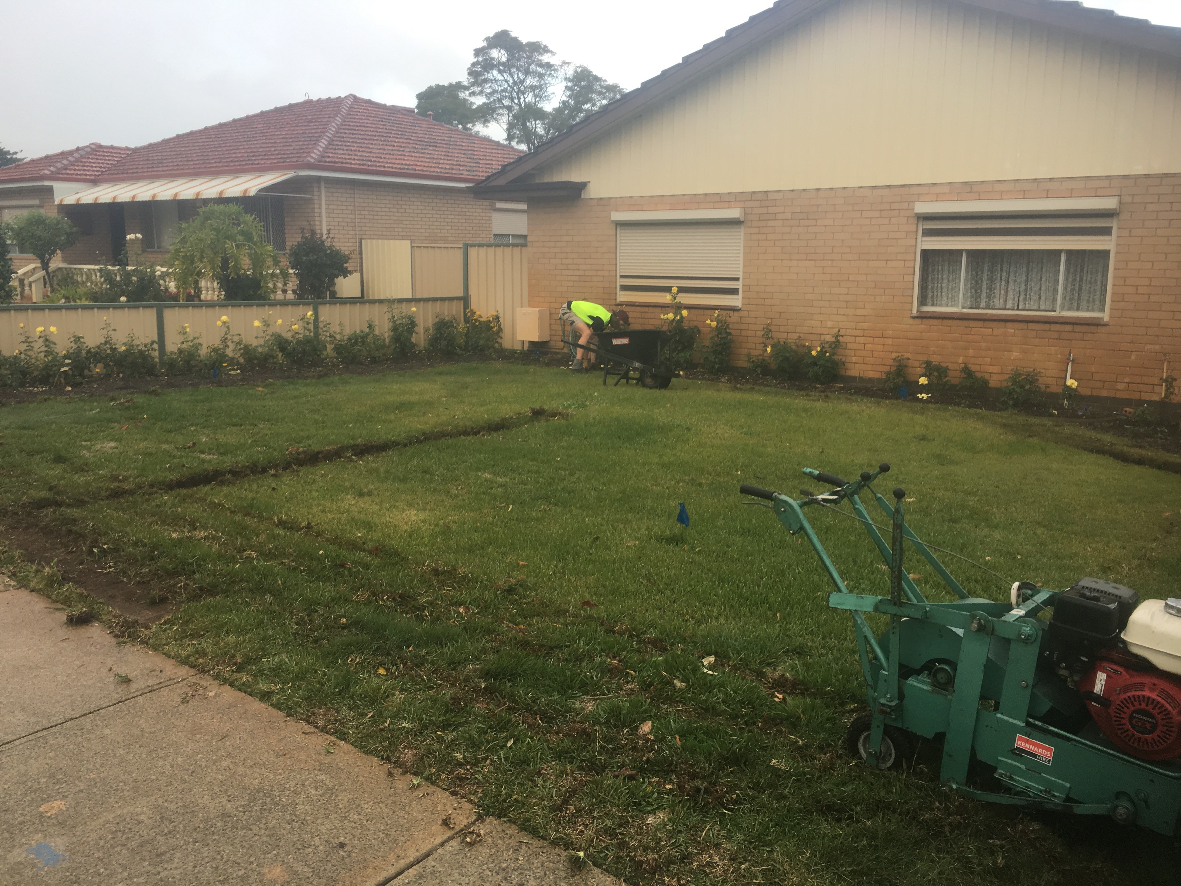 Before Lawn Removal
